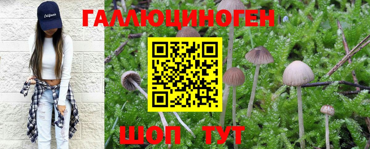 Полысаево  Галлюциногенные грибы Psilocybe  Вход с VPN  Галлюциногенные грибы Psilocybe 